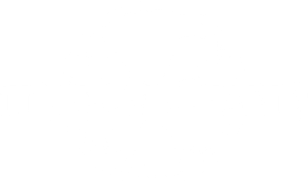 Hoops Mechanic Store